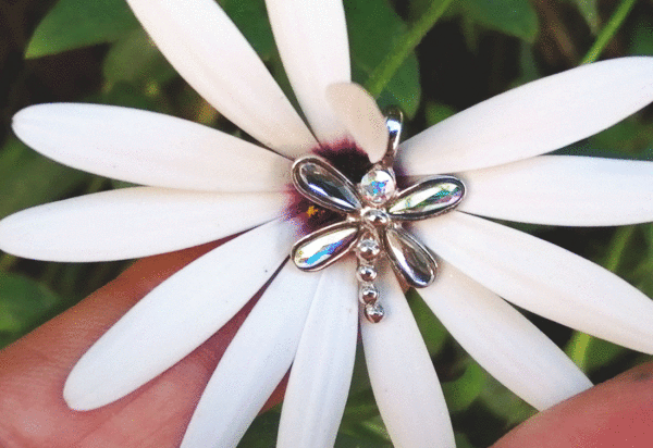 Colgante libélula plata Dragon-Fly creado con Crystales. 3